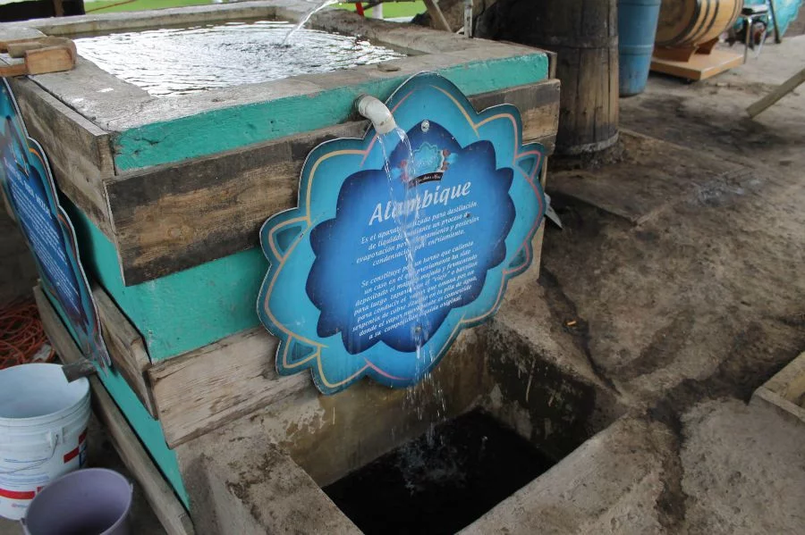 Imagen de la nota "Conoce el proceso de elaboración del mezcal en la FENADU 2015", publicada en el sitio web http://durango.com.mx