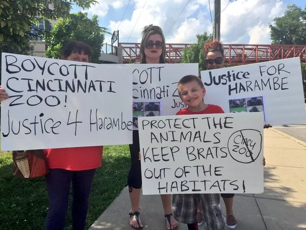 Boicot contra zoologico