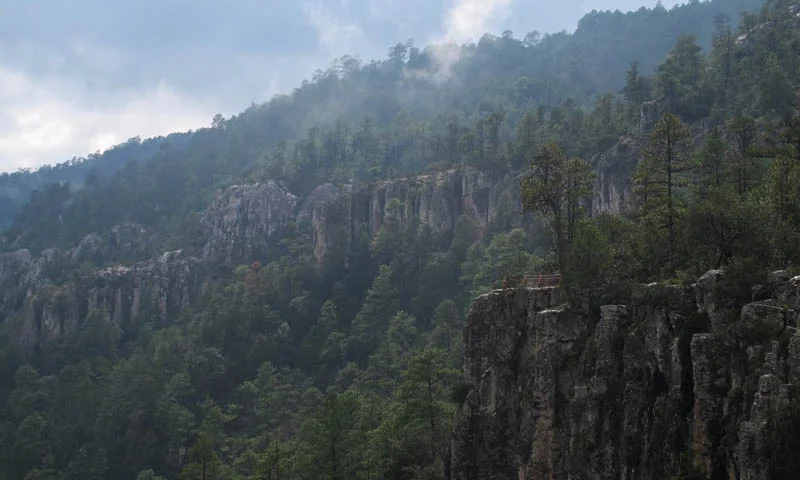 Cascada Salto del Agua Llovida
