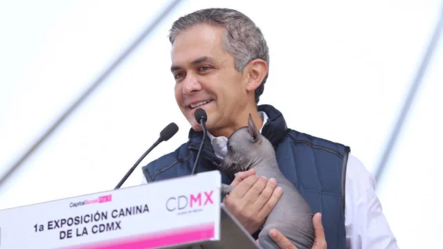 exposicion caninca cdmx