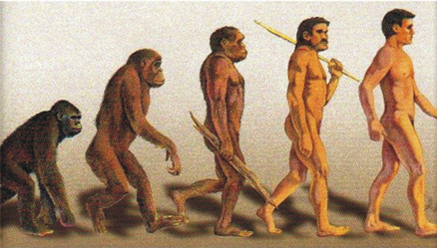 Общественный образ жизни предков человека способствовал. Появление человека. Превращение обезьяны в человека. Люди из обезьян появились. Появление человека на земле.
