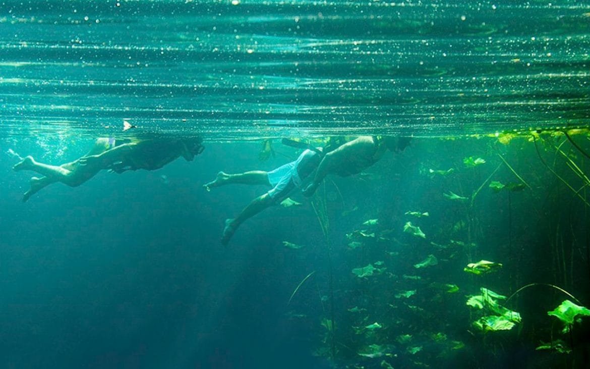 Snorkel en xcaret Caso Xcaret Leonardo Luna