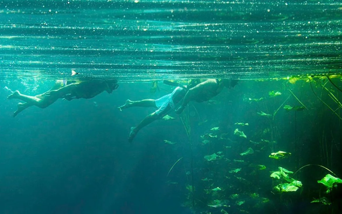 Snorkel en xcaret Caso Xcaret Leonardo Luna
